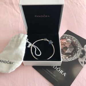 Pandora silver bracelet with one charm